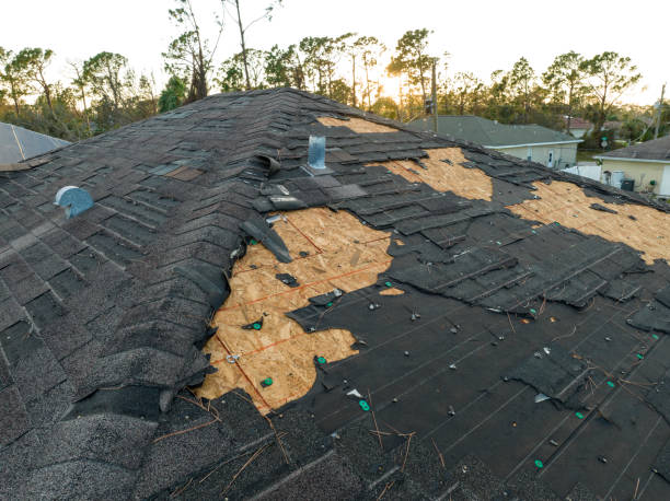 Best Asphalt Shingles Roofing  in Gainesville, VA